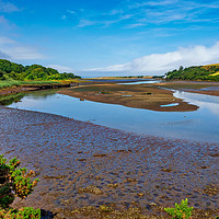 Buy canvas prints of Newport Marshes, Pembrokeshire, Wales, UK by Mark Llewellyn