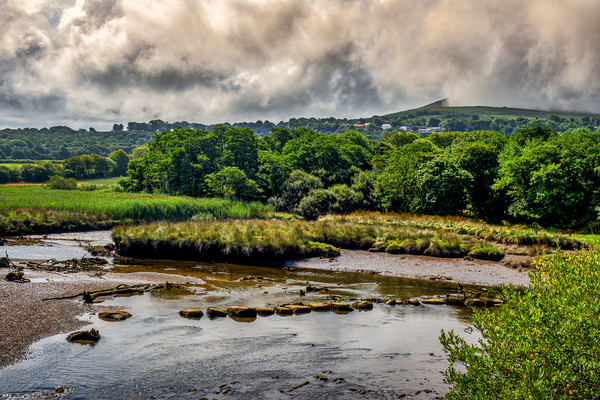 Marshes, Cardigan, Pembrokeshire, Wales, UK Picture Board by Mark Llewellyn