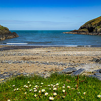 Buy canvas prints of Aberfforest Bay, Pembrokeshire, Wales, UK by Mark Llewellyn