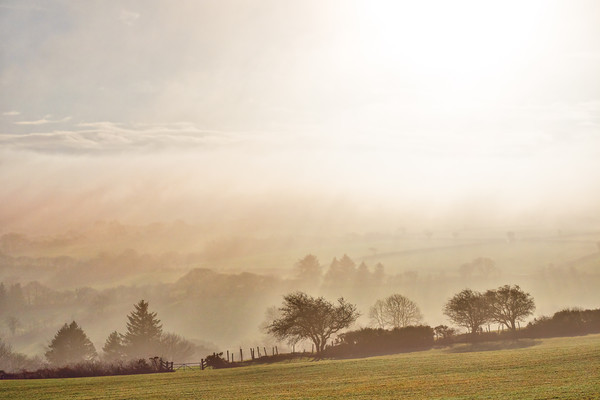 Misty Wales, Pembrokeshire, Wales, UK Picture Board by Mark Llewellyn