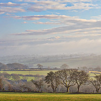 Buy canvas prints of Misty January, Pembrokeshire, Wales, UK by Mark Llewellyn