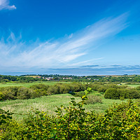 Buy canvas prints of Cardigan Marshes, Pembrokeshire, Wales, UK by Mark Llewellyn