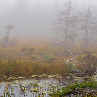 Buy canvas prints of Cabot Trail Fog, Cape Breton, Canada by Mark Llewellyn