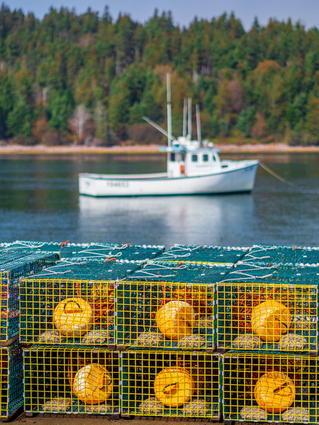 Lobster Pots, Guysborough, Nova Scotia, Canada Picture Board by Mark Llewellyn