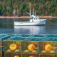 Buy canvas prints of Lobster Pots, Guysborough, Nova Scotia, Canada by Mark Llewellyn
