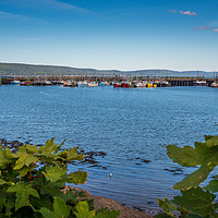 Buy canvas prints of Digby Fishing Boats, Nova Scotia, Canada by Mark Llewellyn