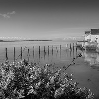 Buy canvas prints of Aberdovey Waterfront Cottages, Wales, UK by Mark Llewellyn
