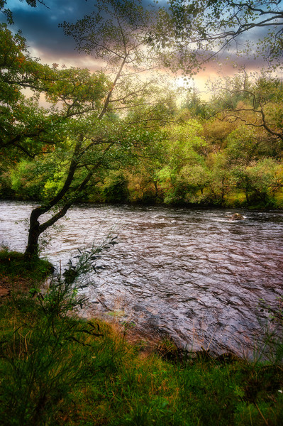 Evening River, Scotland, UK Picture Board by Mark Llewellyn