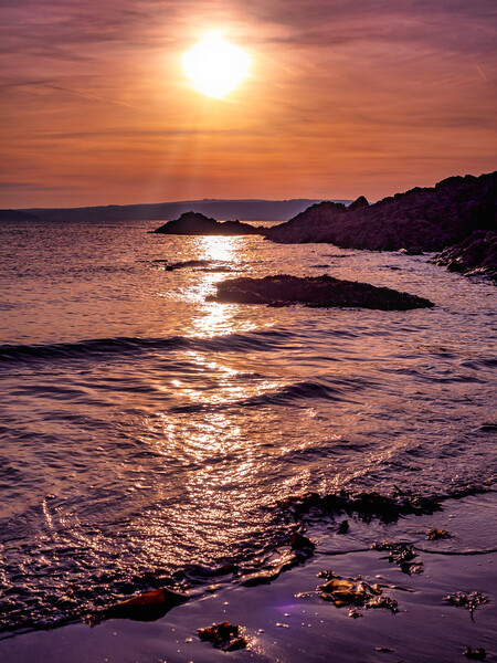 Newport, Pembrokeshire, Wales, UK Picture Board by Mark Llewellyn