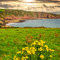 Buy canvas prints of Barafundle Vista, Pembrokeshire, Wales, UK by Mark Llewellyn