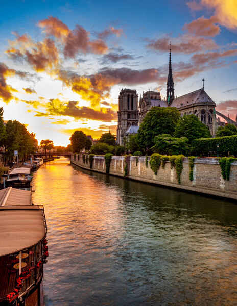 Notre Dame Evening, Paris, France Picture Board by Mark Llewellyn