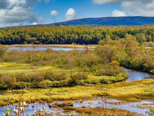 Aspy Bay, Cape Breton, Canada Picture Board by Mark Llewellyn