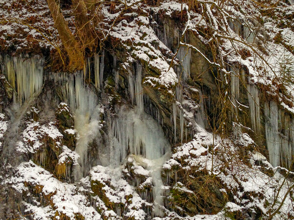 Winter Walk, Schladming, Austria Picture Board by Mark Llewellyn