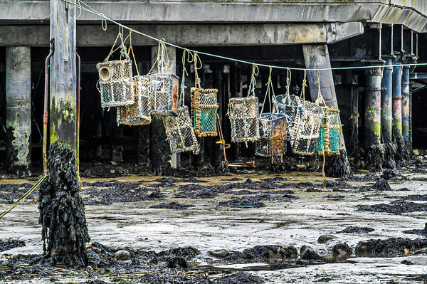 Lobster Pots, Portsmouth, Hampshire, England, UK Picture Board by Mark Llewellyn