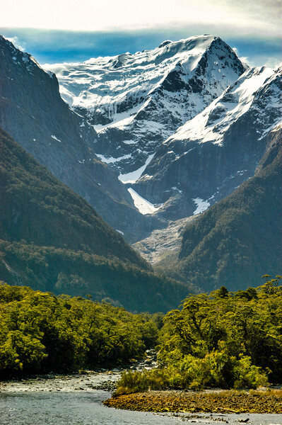 Snow Topped Mountain, New Zealand Picture Board by Mark Llewellyn