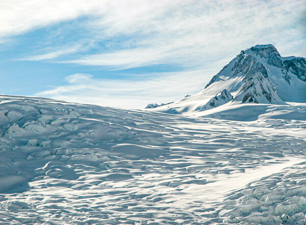 Fox Glacier, New Zealand Picture Board by Mark Llewellyn
