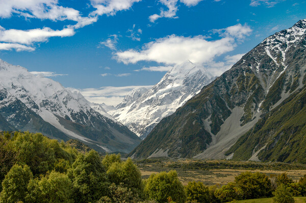 Mount Cook, New Zealand Picture Board by Mark Llewellyn