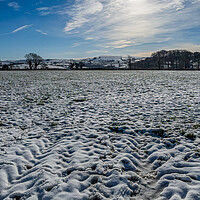 Buy canvas prints of Snow Field, Boncath, Pembrokeshire, Wales, UK by Mark Llewellyn