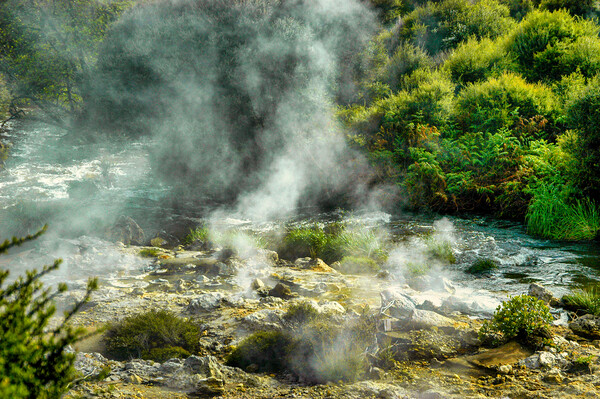 Hot Mud Springs, Rotorua, New Zealand Picture Board by Mark Llewellyn