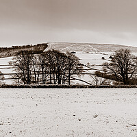 Buy canvas prints of Snow on the Preselis, Pembrokeshire, Wales, UK by Mark Llewellyn