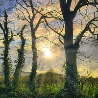 Buy canvas prints of Pembrokeshire Sunset by Mark Llewellyn