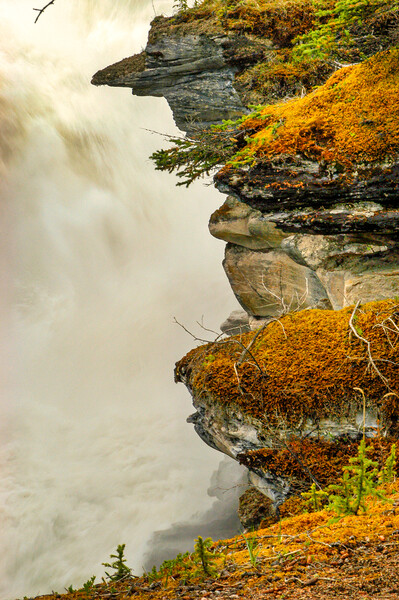 Mossy Waterfall, Canada Picture Board by Mark Llewellyn