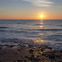 Buy canvas prints of Monk Haven Morning Sunrise, Pembrokeshire by Simon West