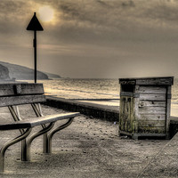 Buy canvas prints of Where have you bin by Simon West
