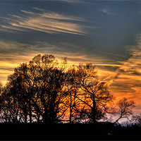 Buy canvas prints of Early Spring Sunset by Simon West