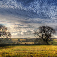 Buy canvas prints of Pembrokeshire Countryside by Simon West