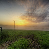 Buy canvas prints of Early misty morning by Simon West