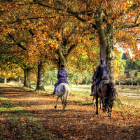 Buy canvas prints of Windsor Park Autumn Horses by Simon West