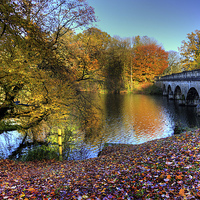 Buy canvas prints of Virginia Water Lake in Autumn by Simon West