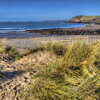 Buy canvas prints of Manorbier beach in the spring by Simon West