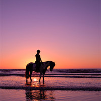 Buy canvas prints of Horse rider at sunset by nick woodrow