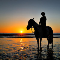 Buy canvas prints of Evening Ride by nick woodrow