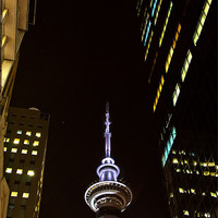 Buy canvas prints of Auckland nights by Barry Newman