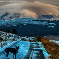 Buy canvas prints of 'Lucy', the Glenmore road and the Cuillin. by Richard Smith