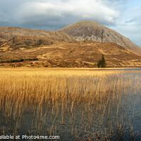 Buy canvas prints of Rushes on Loch Cill Chriosd by Richard Smith