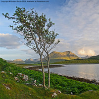 Buy canvas prints of Braes beach and Glamaig by Richard Smith