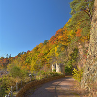 Buy canvas prints of Old road to Craigellachie Bridge by Richard Smith