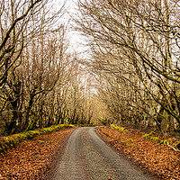 Buy canvas prints of The old main road at Skeabost by Richard Smith