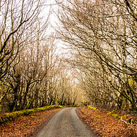 Buy canvas prints of The old main road at Skeabost #2 by Richard Smith