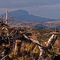 Buy canvas prints of The devastation of felled forest by Richard Smith