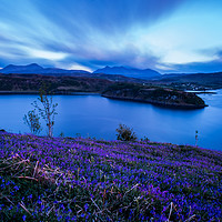 Buy canvas prints of Bluebells after sunset by Richard Smith