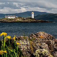 Buy canvas prints of Lighthouse with foreground Flags by Richard Smith