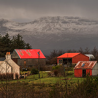 Buy canvas prints of Red sheds by Richard Smith