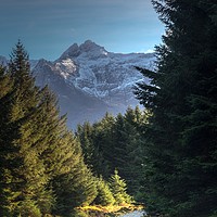 Buy canvas prints of Walking the Bealach Brittle forest loop track #3 by Richard Smith