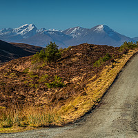 Buy canvas prints of Following the Kylerhea road north. by Richard Smith