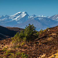 Buy canvas prints of Some Red Cuillins #2 by Richard Smith